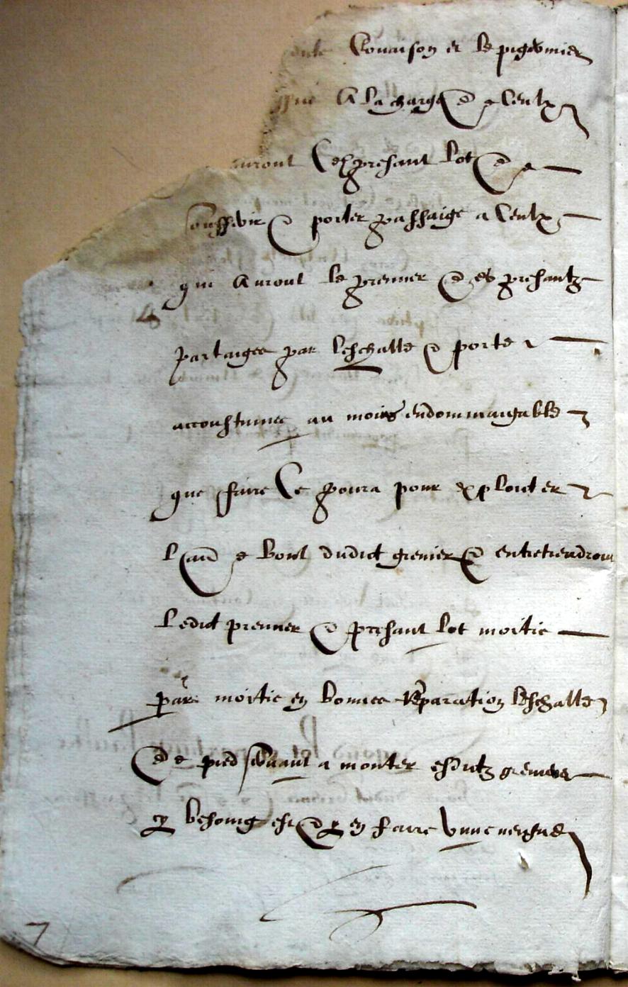 Ceville-Mathurin-partages_1603 (14).JPG